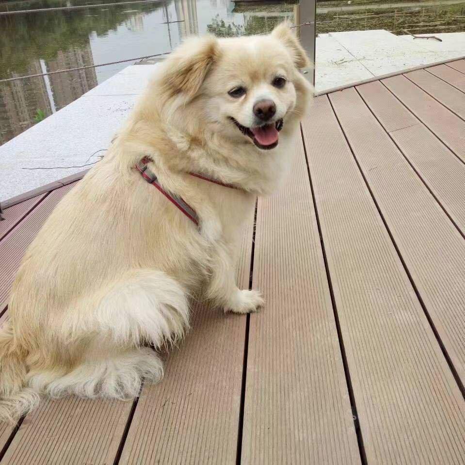 一生有你