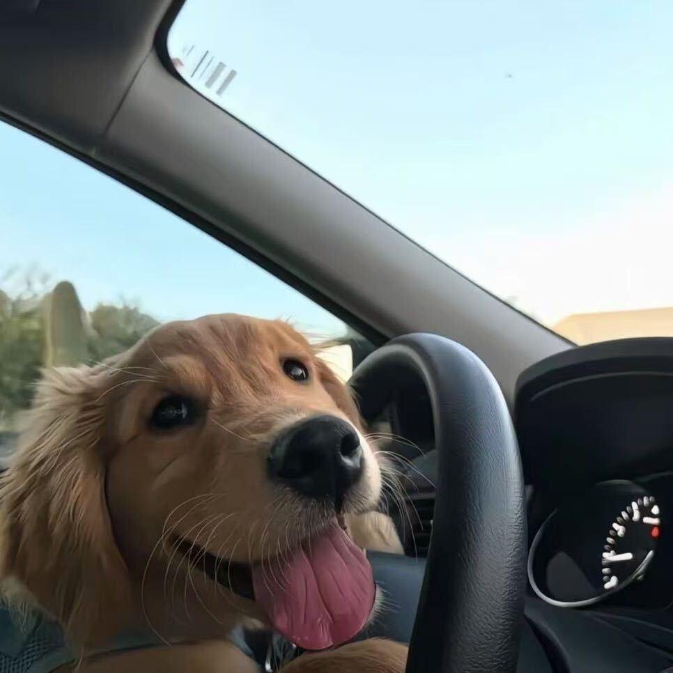 ￴  ￴￴￴  ￴￴ ￴  ￴￴