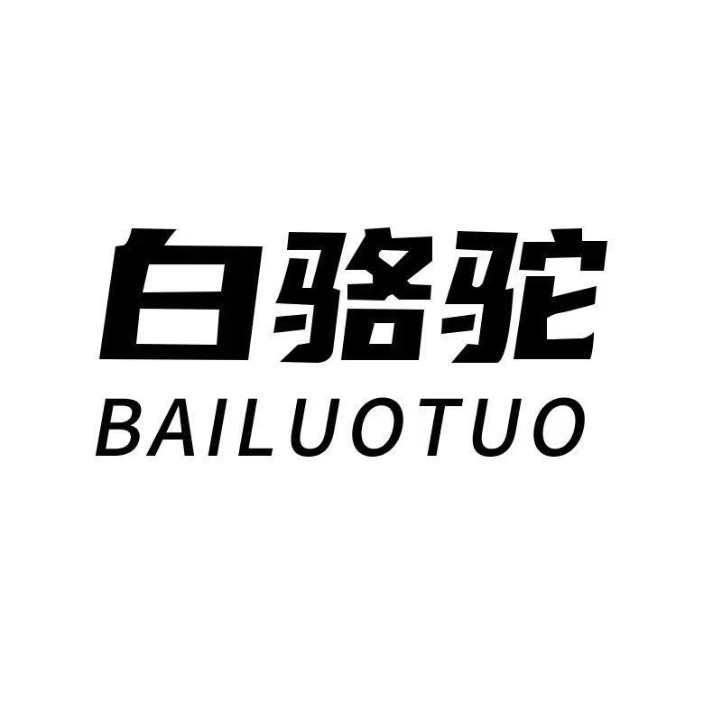 白骆驼雨刮研究所