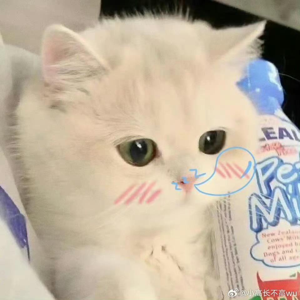 小u少
