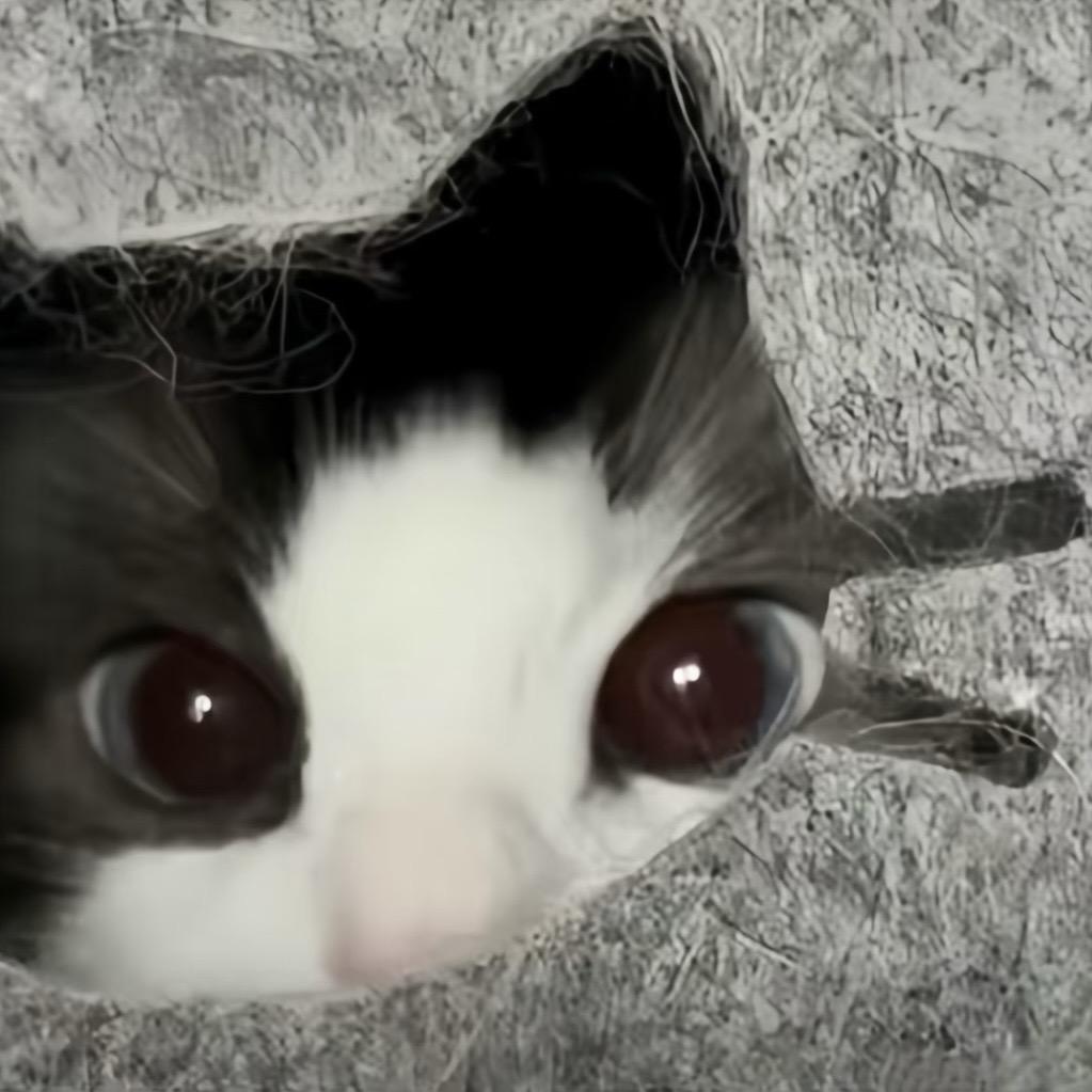 睡觉觉•̀֊•́