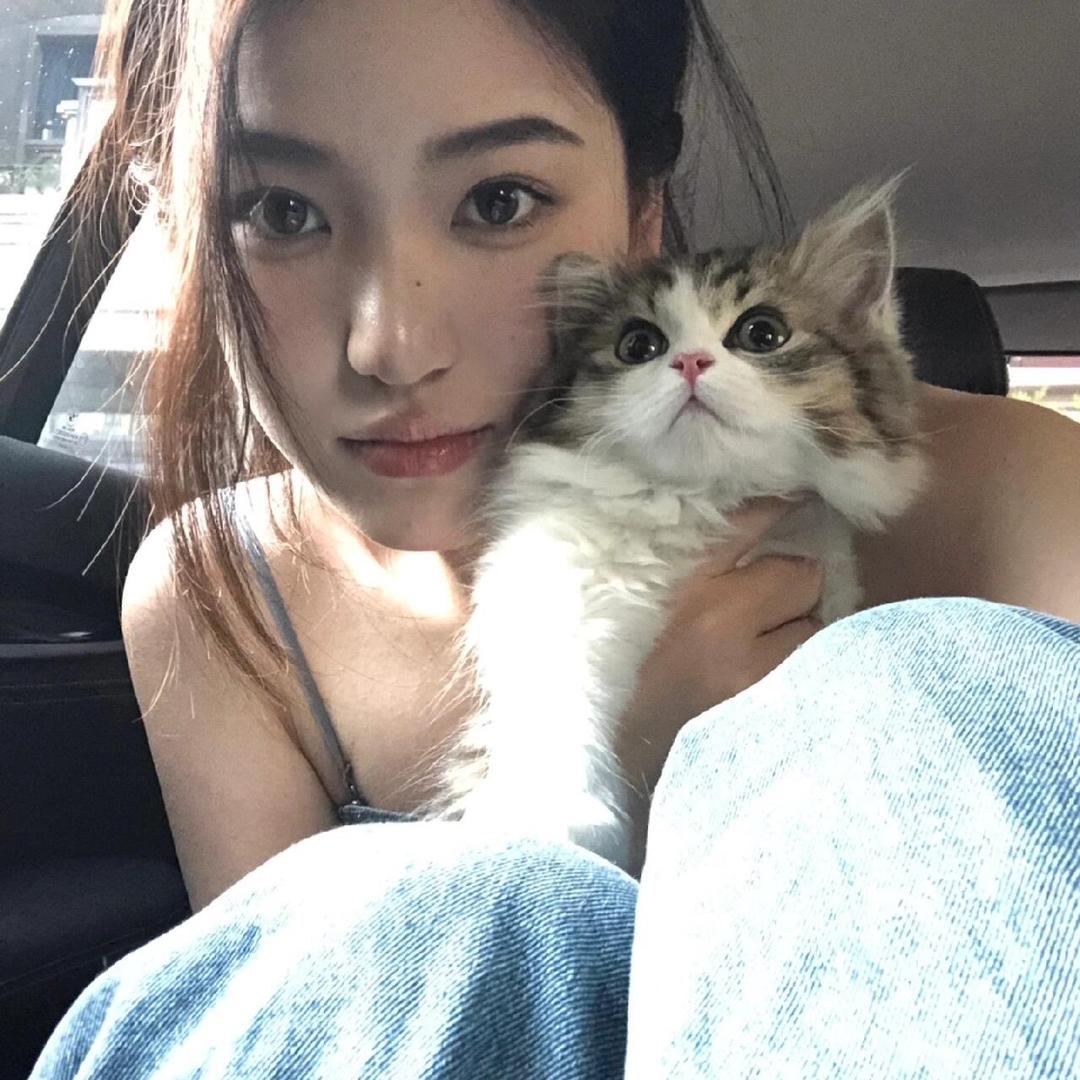 爱吃香菜.
