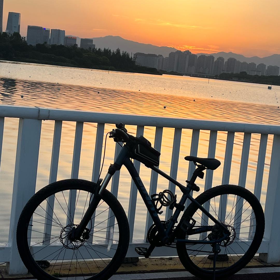 爱美依的橱窗