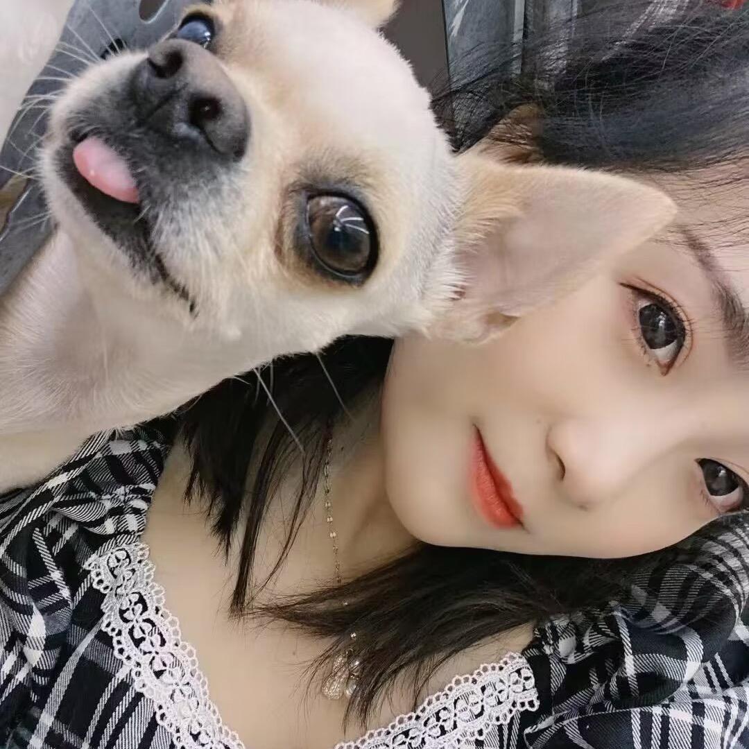 晨晨吖  每天14:02