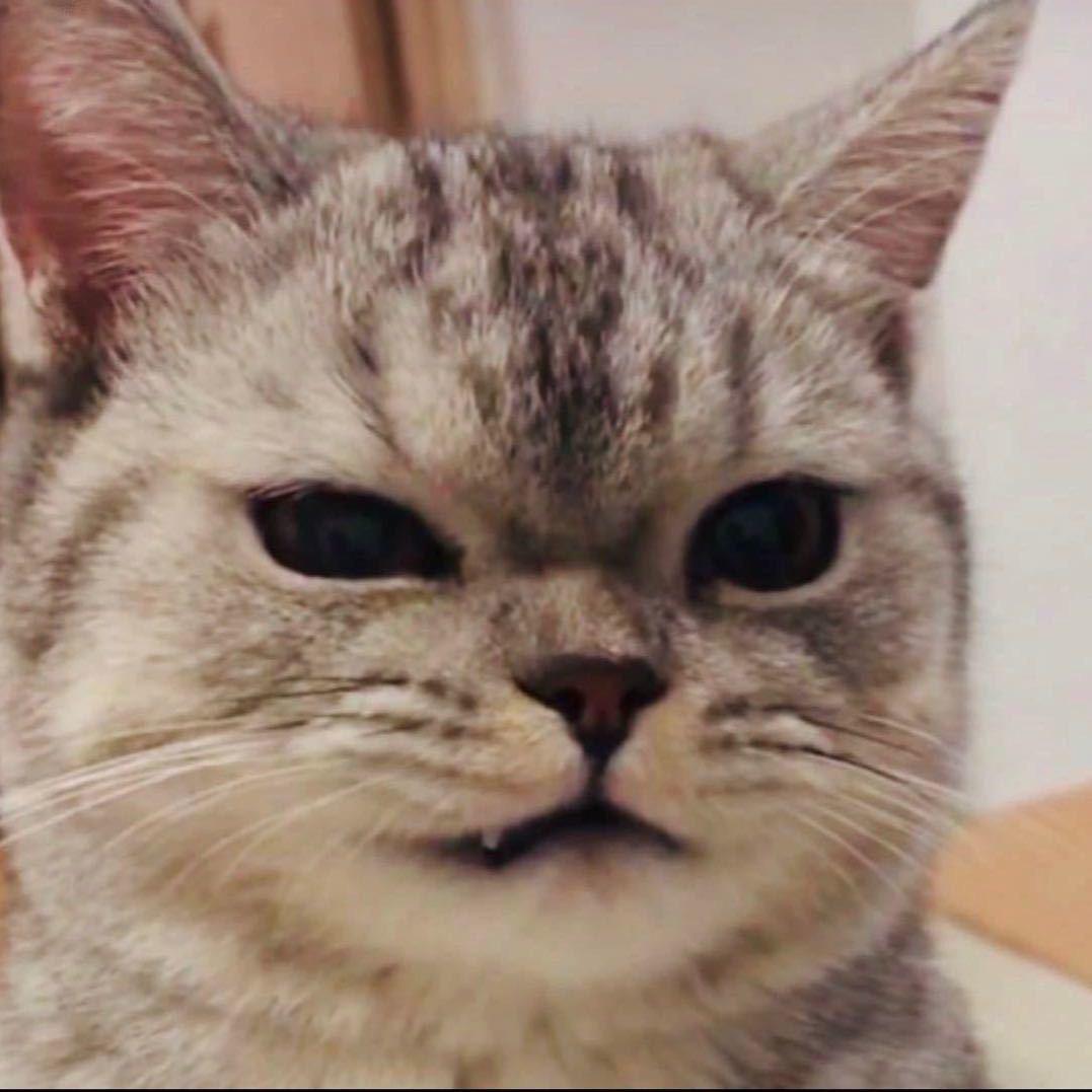 大伟DIY潮玩