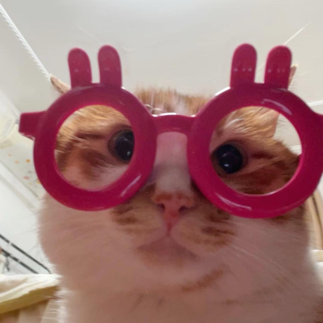 𝗶𝗶𝘀𝗵𝟯𝗼𝗢