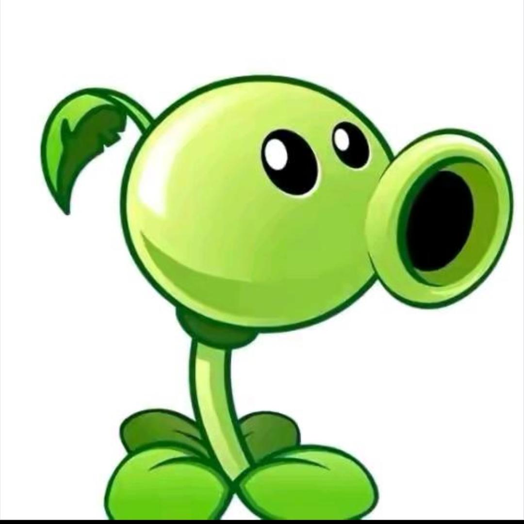 🟢🟢🟢🟢🟢🟢🟢🟢