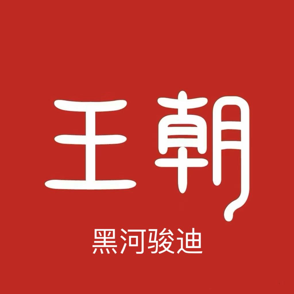 比亚迪王朝｜黑河骏迪