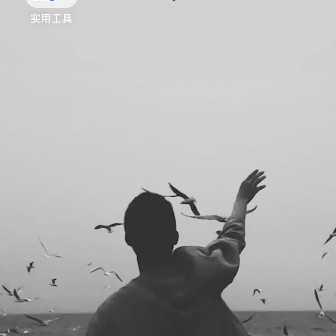 想去有风的地方