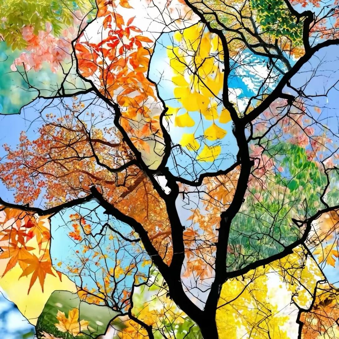 秋天🎀🪭