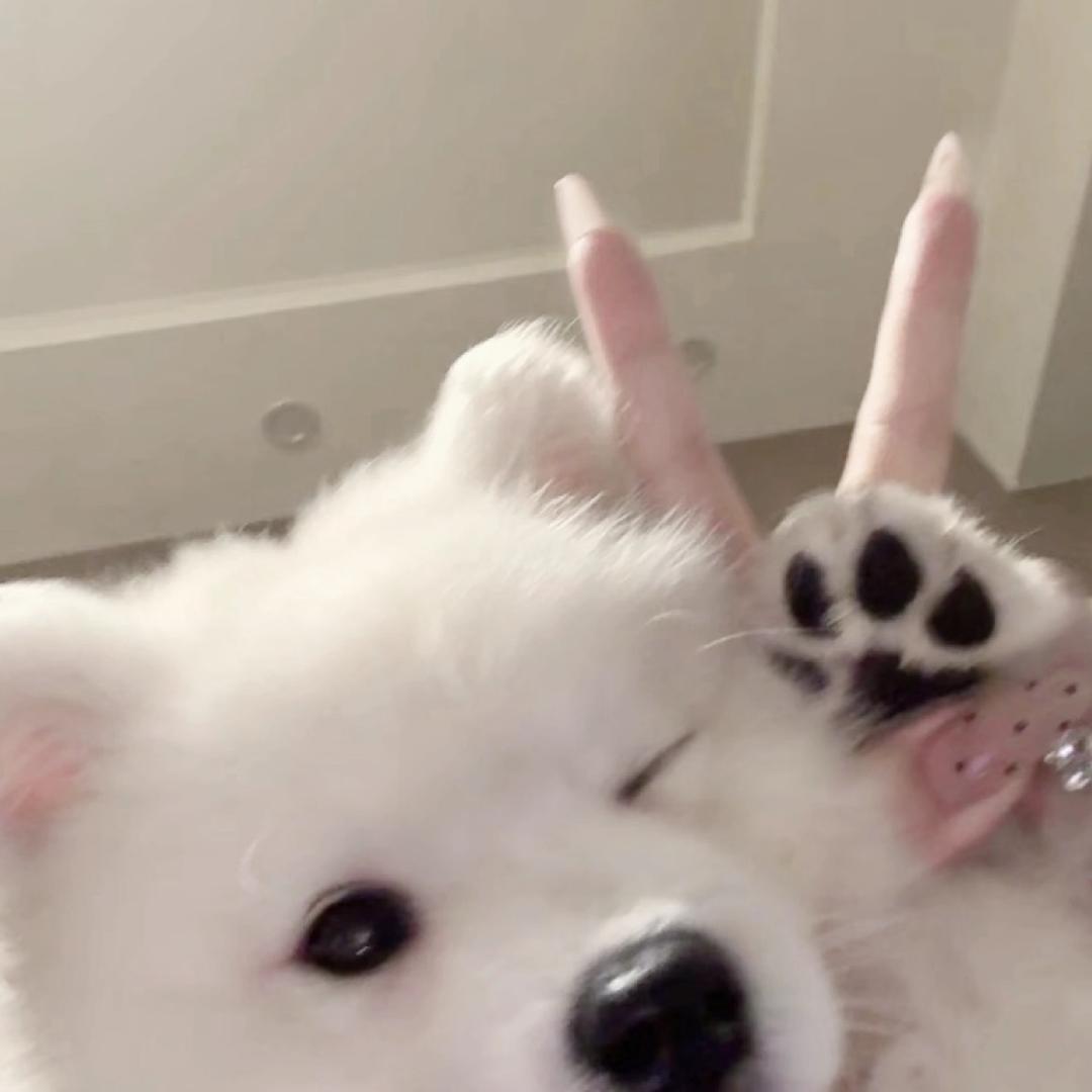 萌仆主义