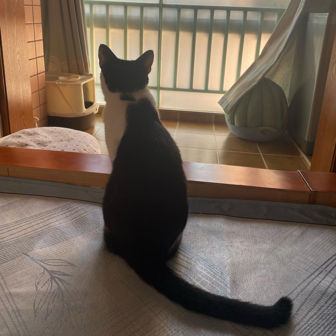 晴天🌻。