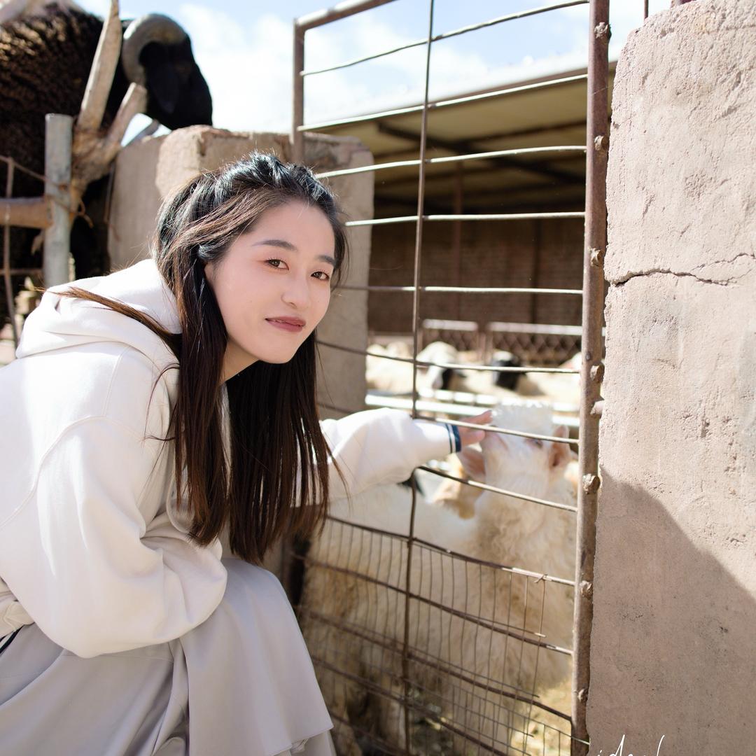 网上冲浪的小张(打工版)