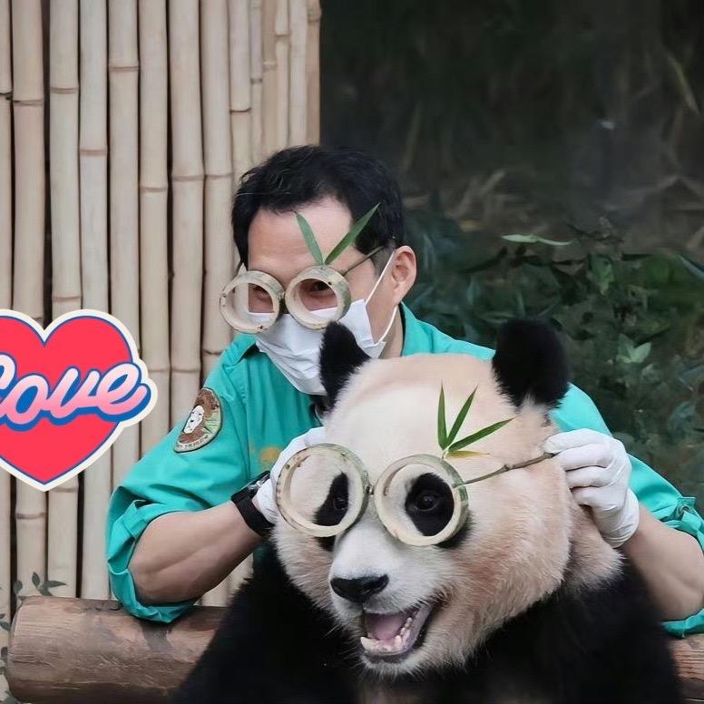 来吸熊猫吧