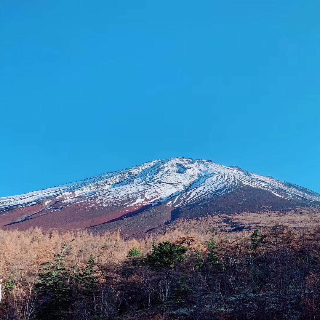 马到成功♟️💍