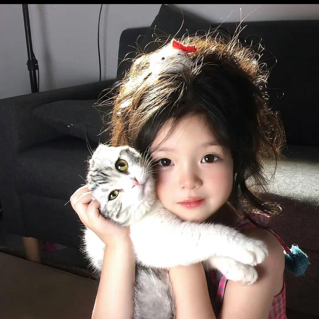 ❄️零六年