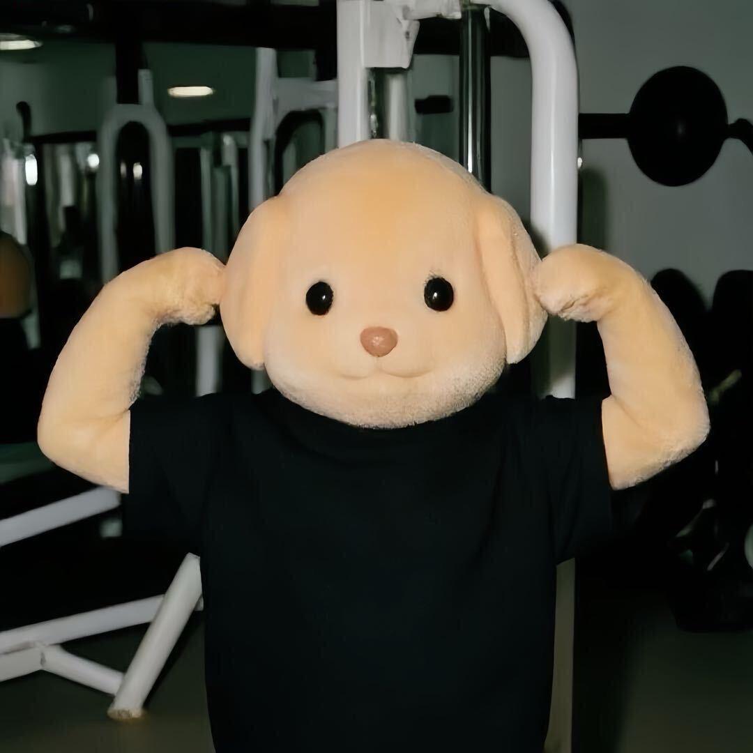 行稳致远-‍