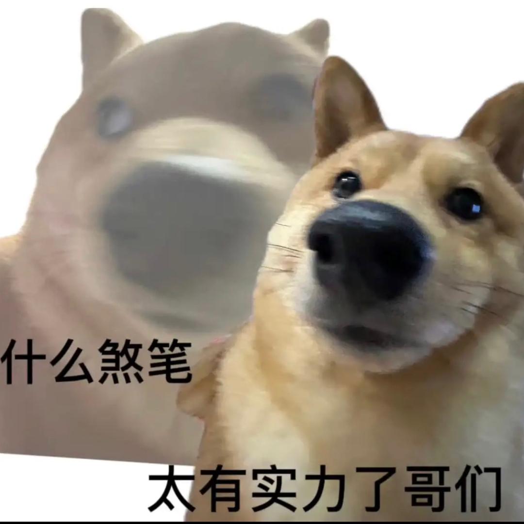 行行行
