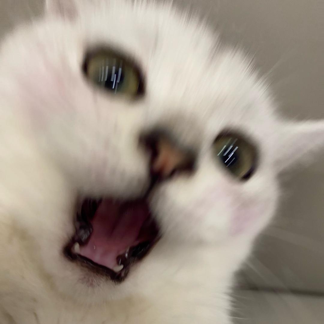 西三木