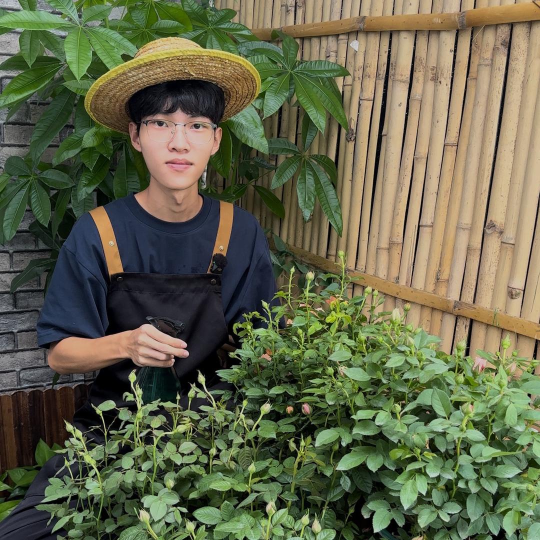 小李绿植