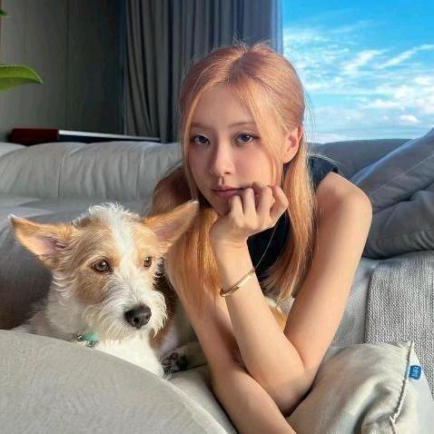 林-