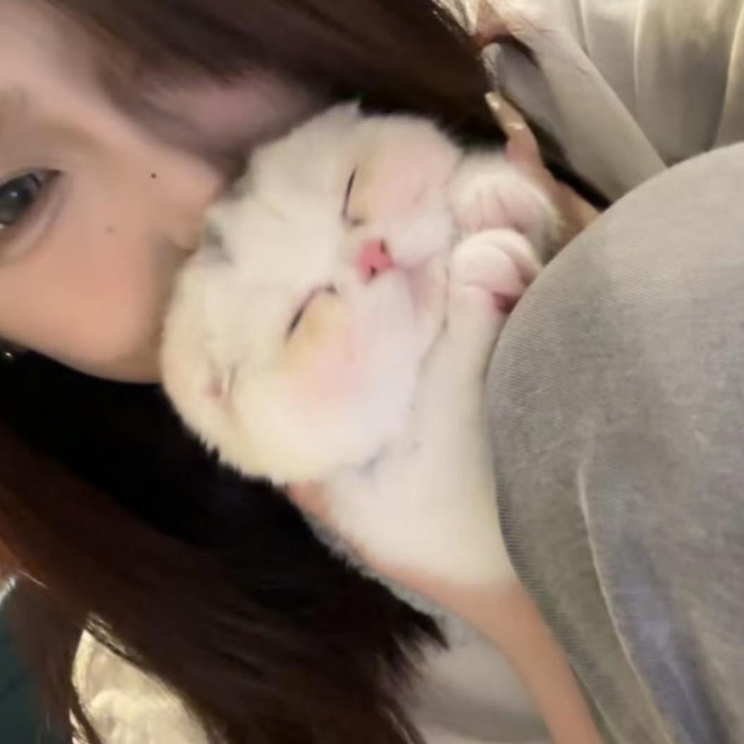 芝士蛋糕～