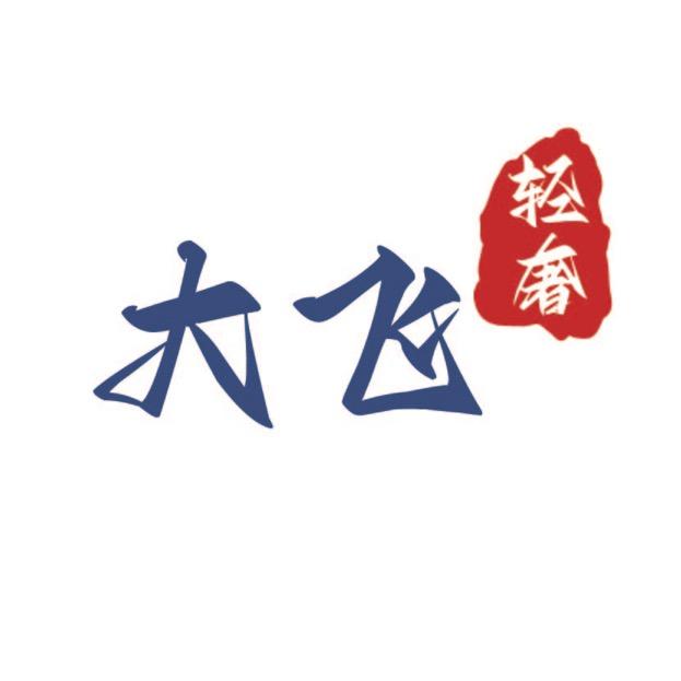 大飞轻奢女装