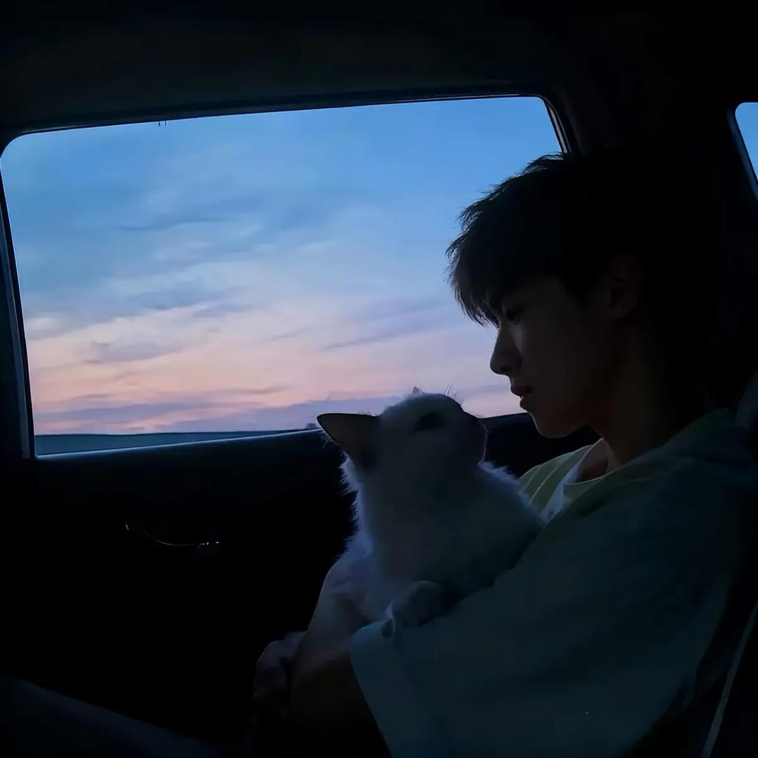 ㅤㅤㅤㅤㅤㅤㅤPiwrij