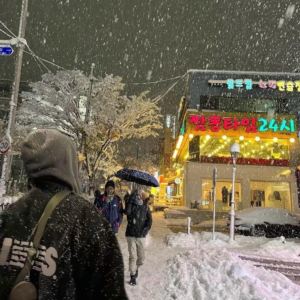 尼克·狐🦊尼克