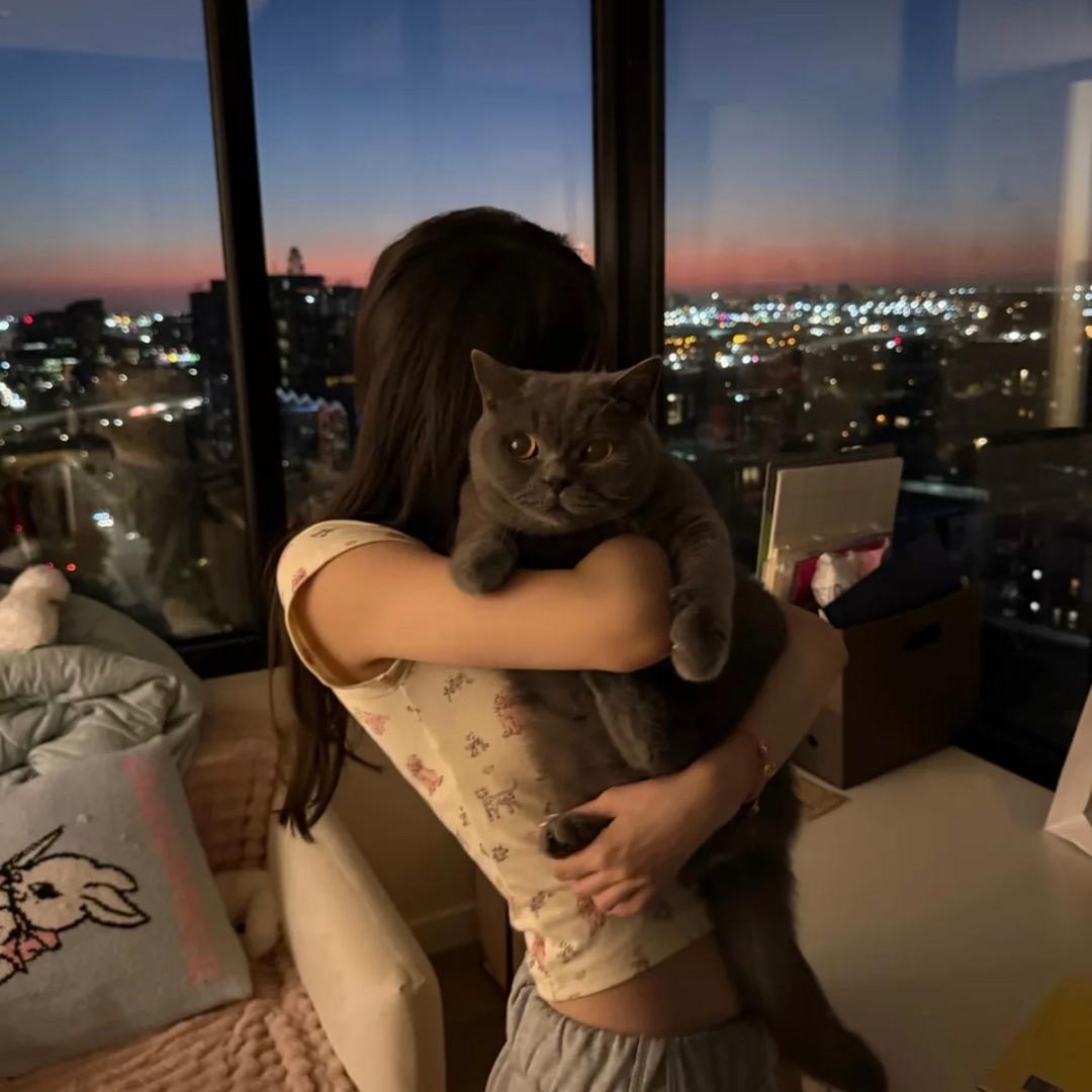 kitty_