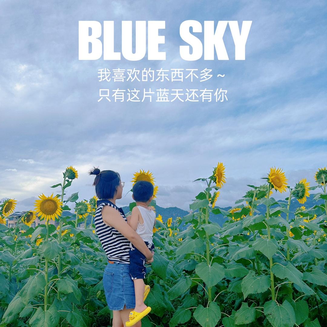 我是太阳煎的蛋🥚