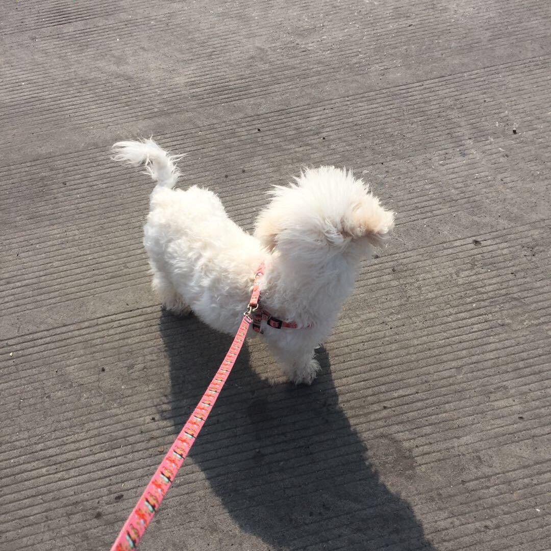 啃蟹壳