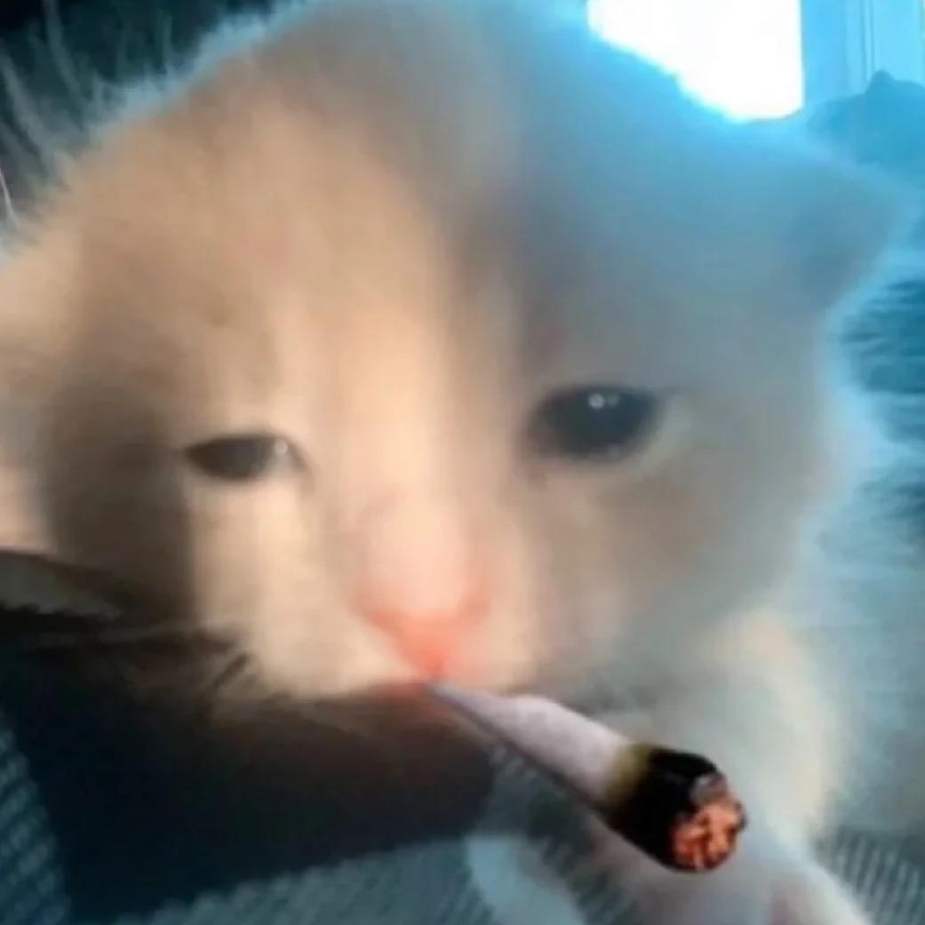 盐粒粒耶
