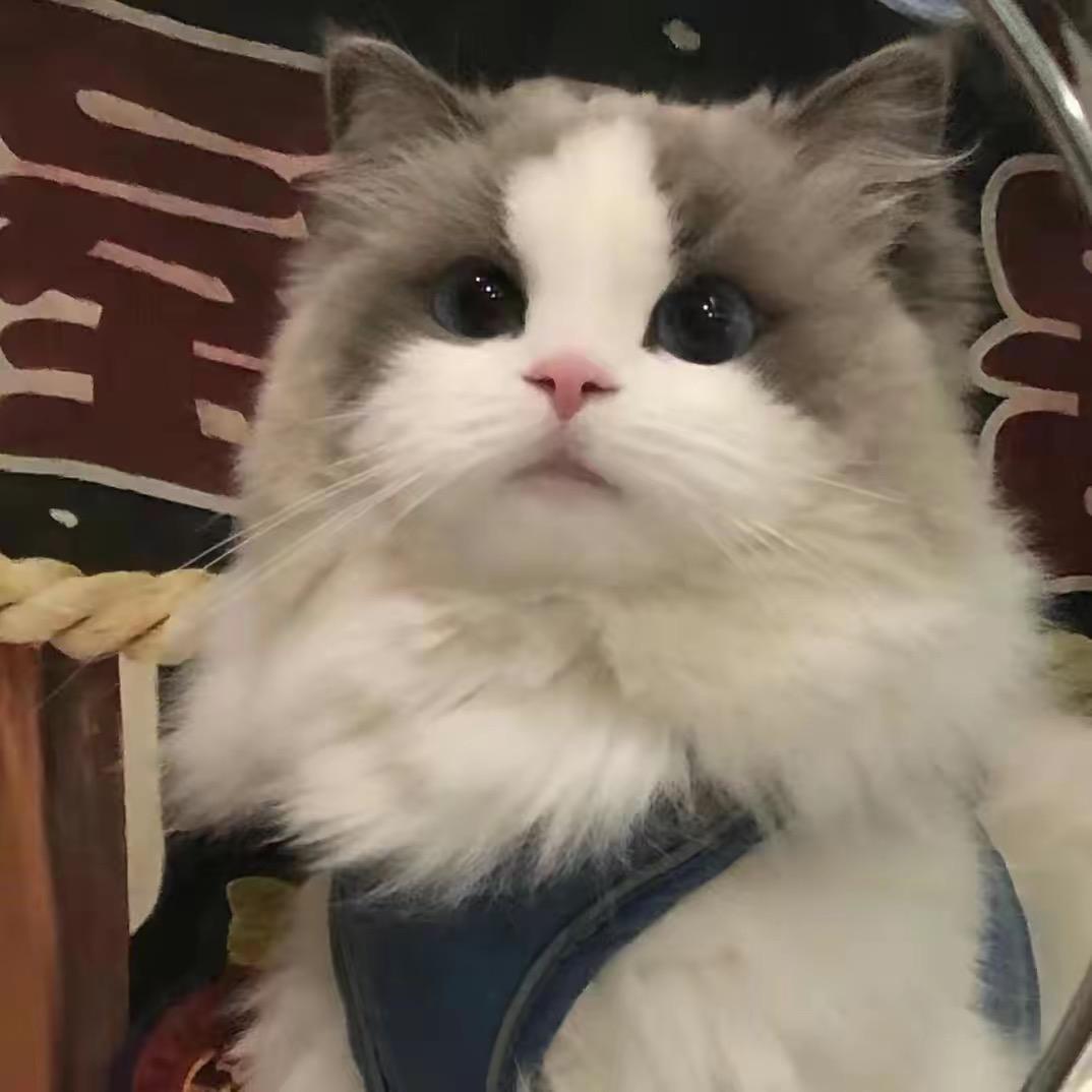故事与你·