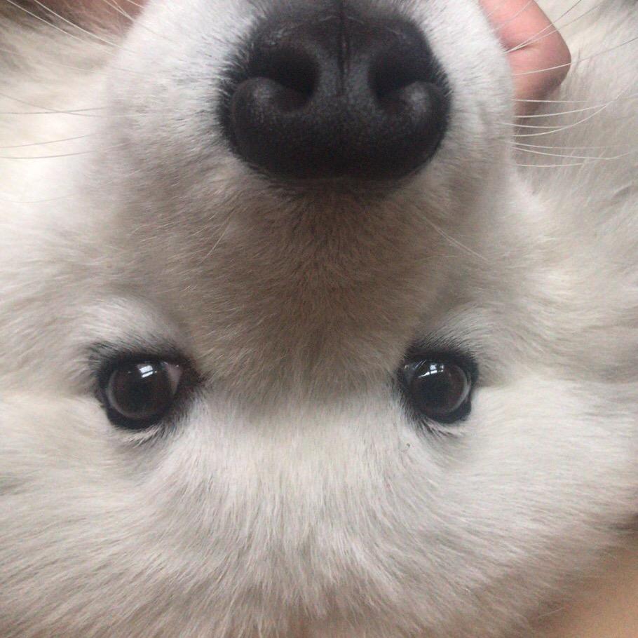 🐻哈尼🐻