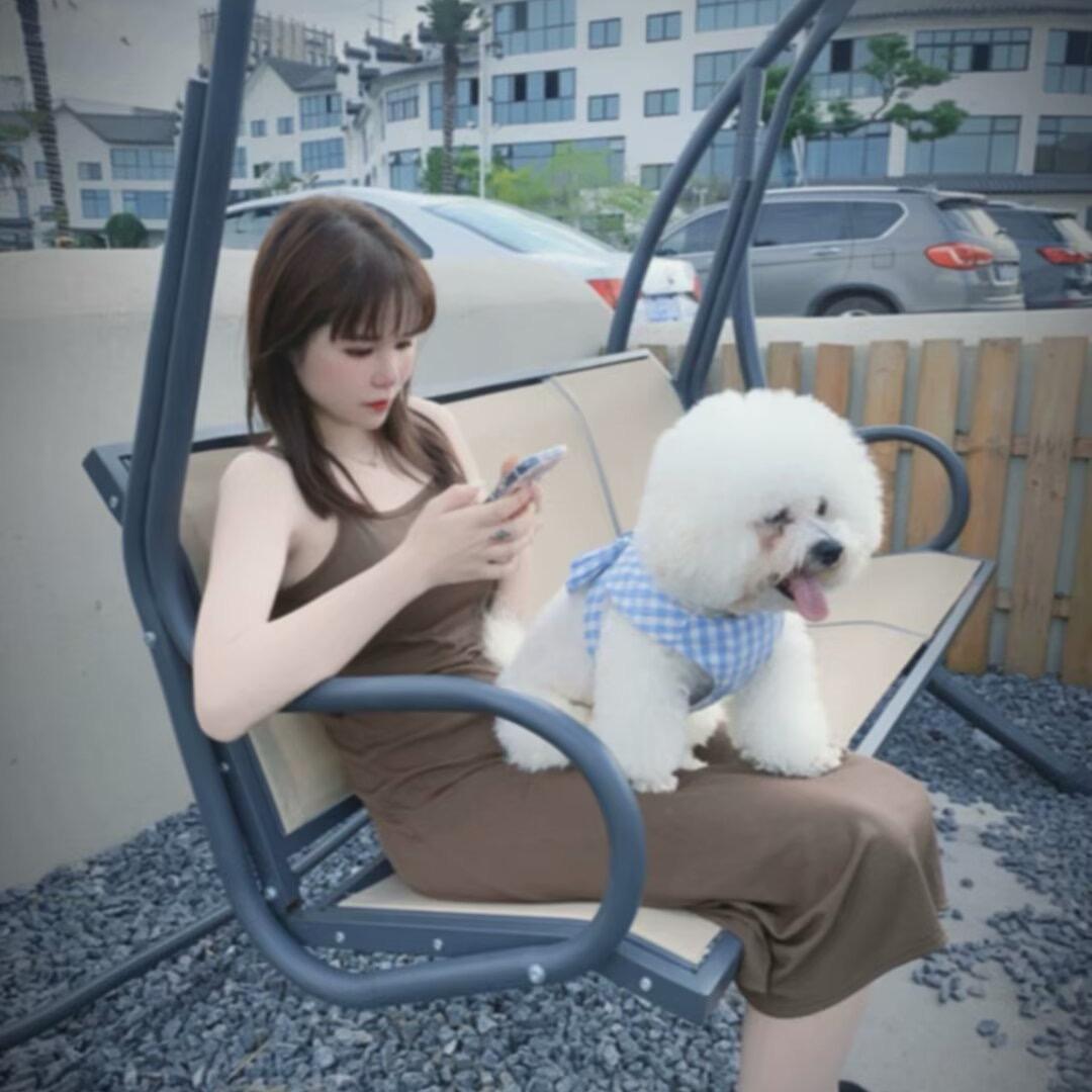 Lucky是只汪