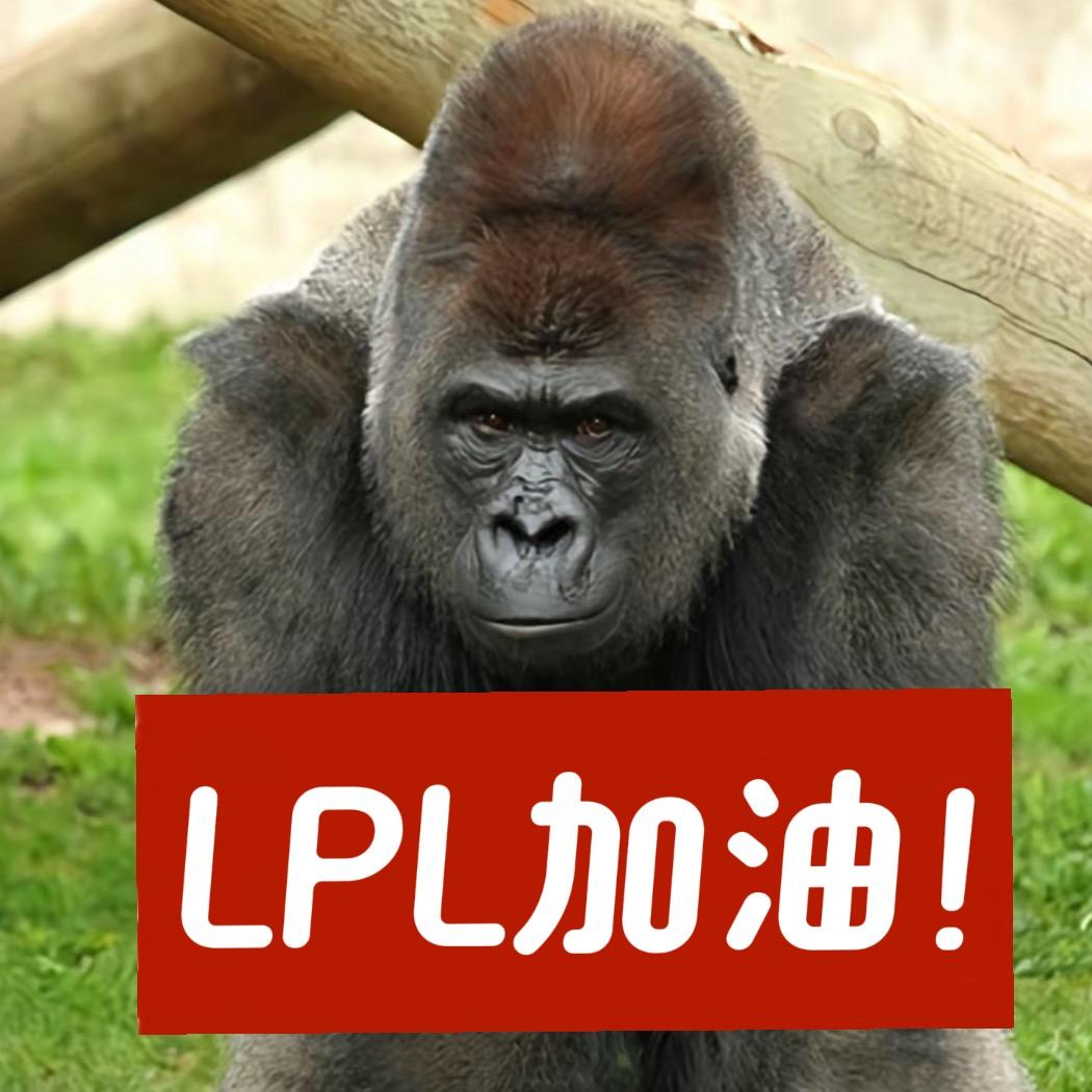 lpl温斯顿博士