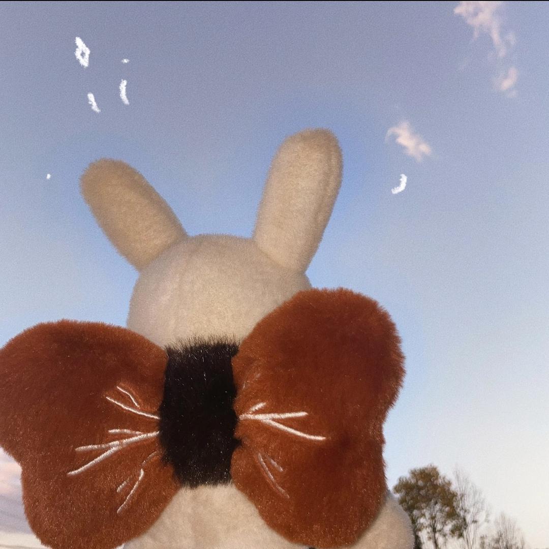 𝐑·𝐘𝐈𝐍𝐆