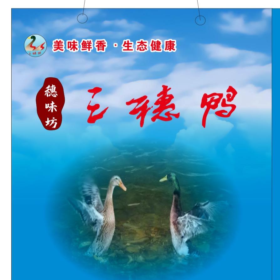 虾扯蛋麻辣小龙虾🦞