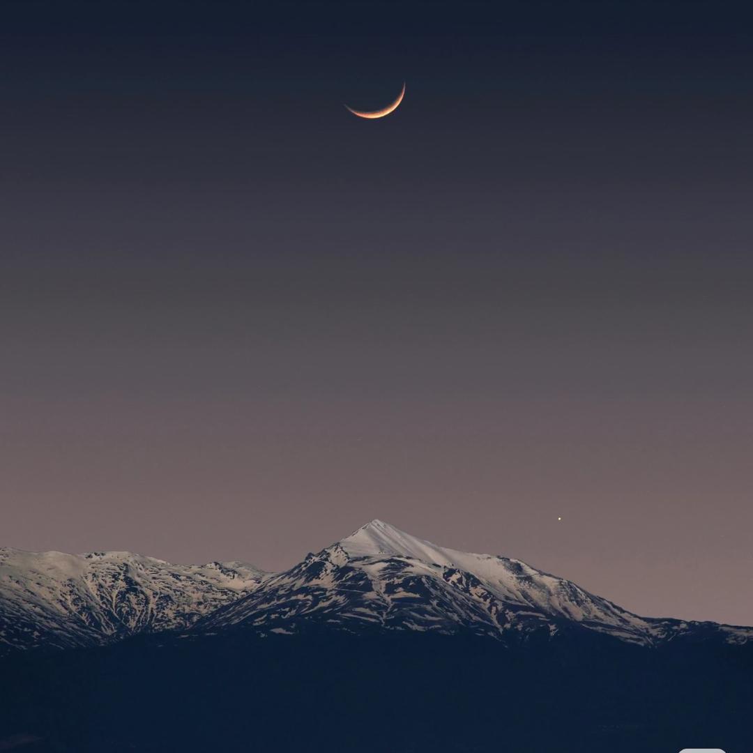 天上一颗🌙
