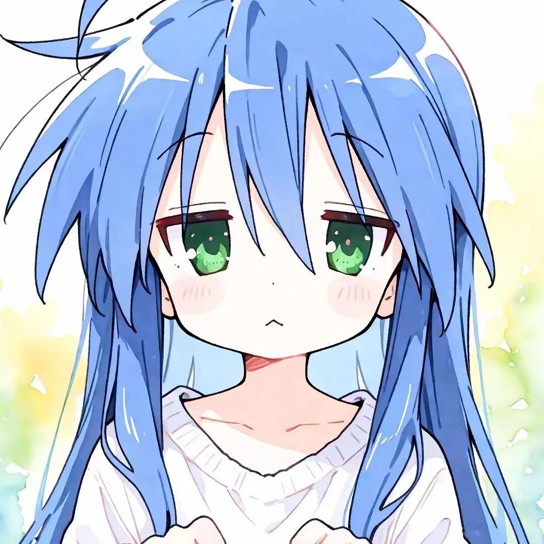 坏猫