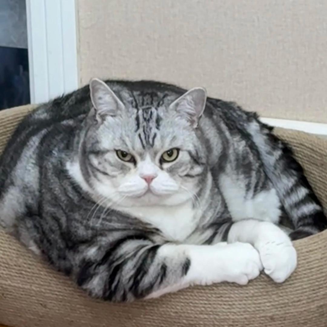 跑车等于搬砖的hh