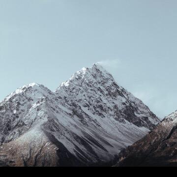 珍琦晨