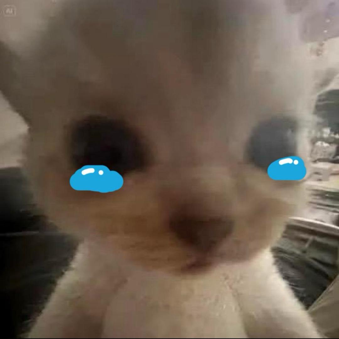 我是丛雨的狗