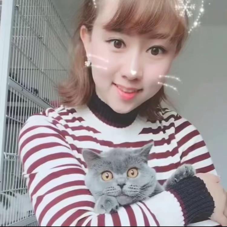 萌猫姐姐（缅因大刷子）