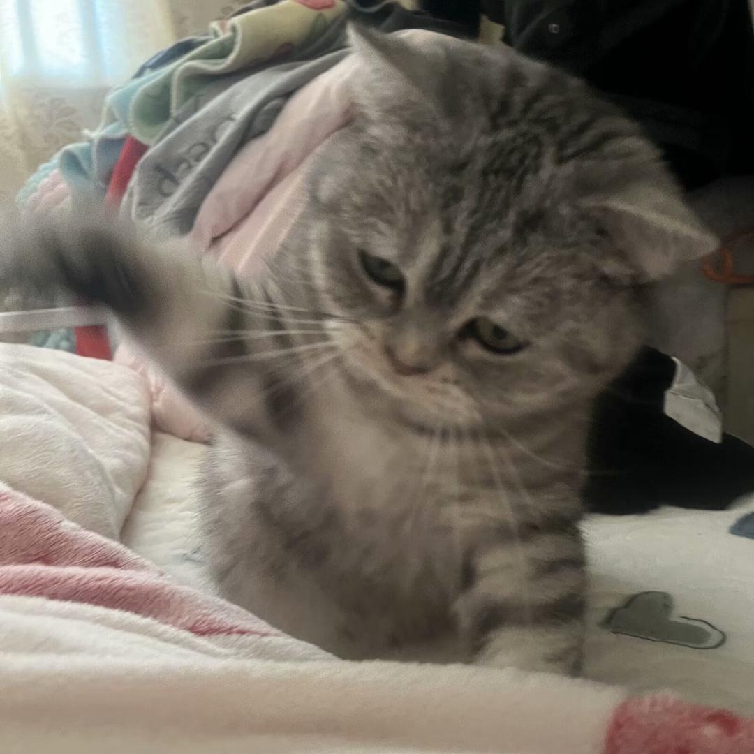 千万～