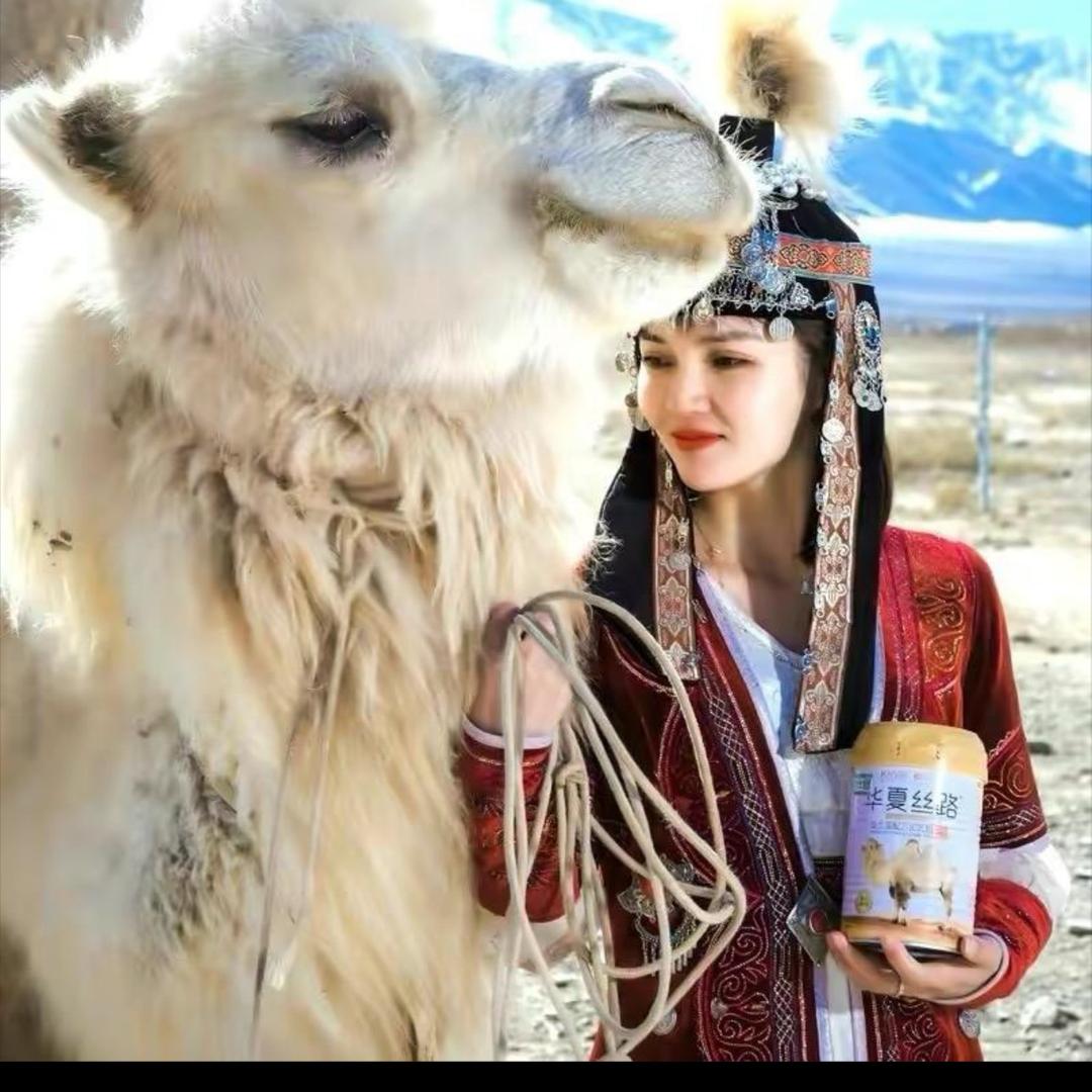 华夏丝路驼奶粉官旗店