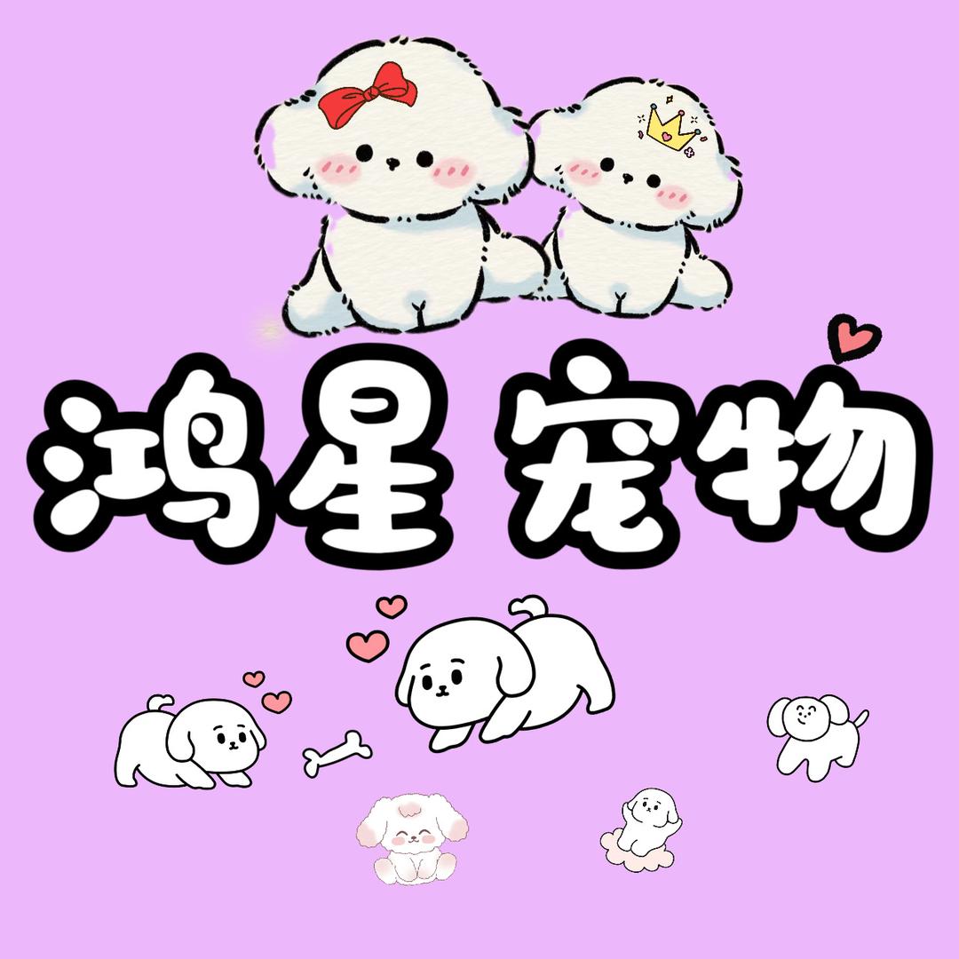 鸿星奢宠~韩系比熊
