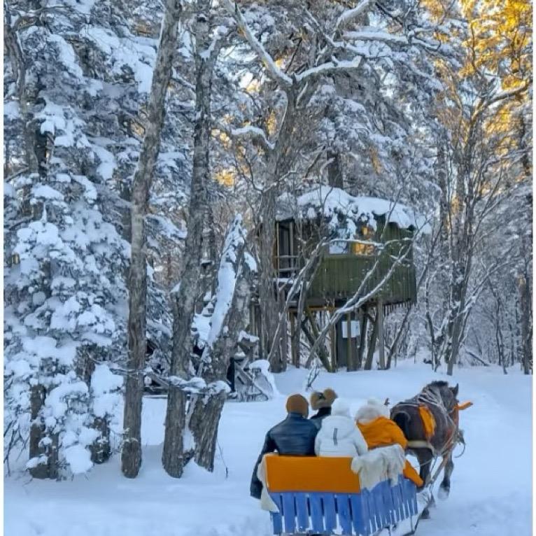 横道河子林海雪原