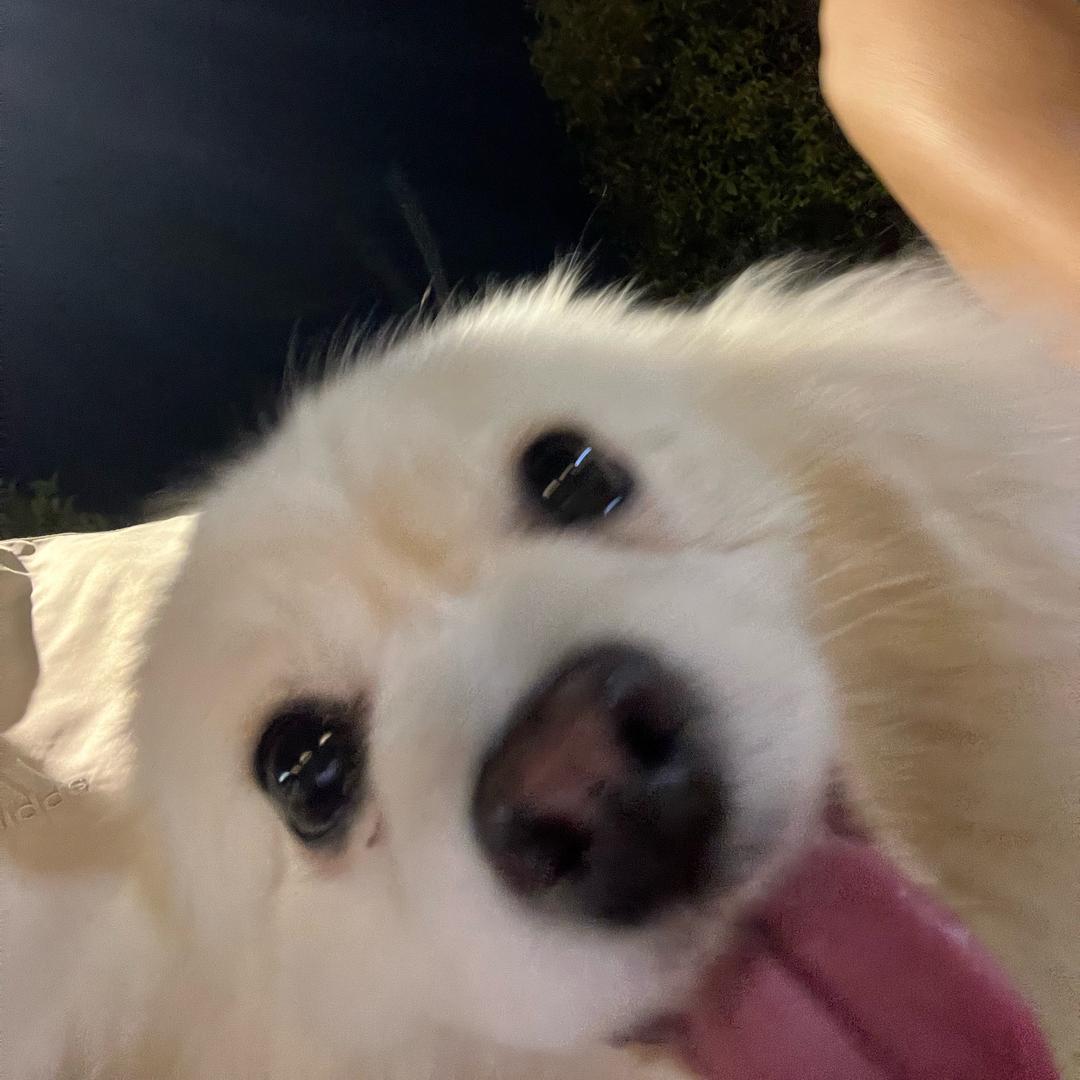 @Hui